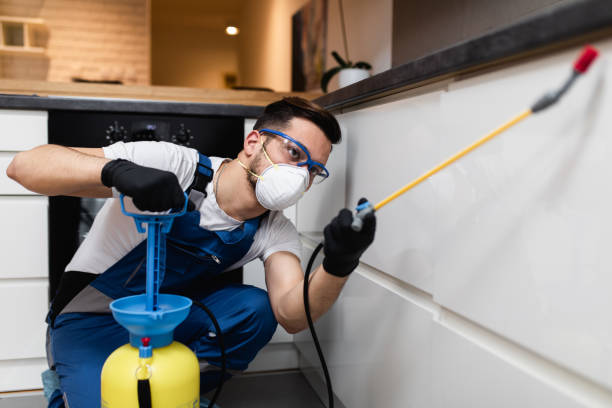 Reliable Bastrop, LA Pest Control Solutions