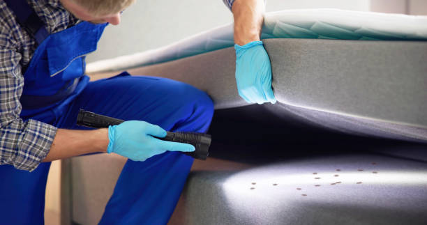Best Wasp Removal Services  in Bastrop, LA